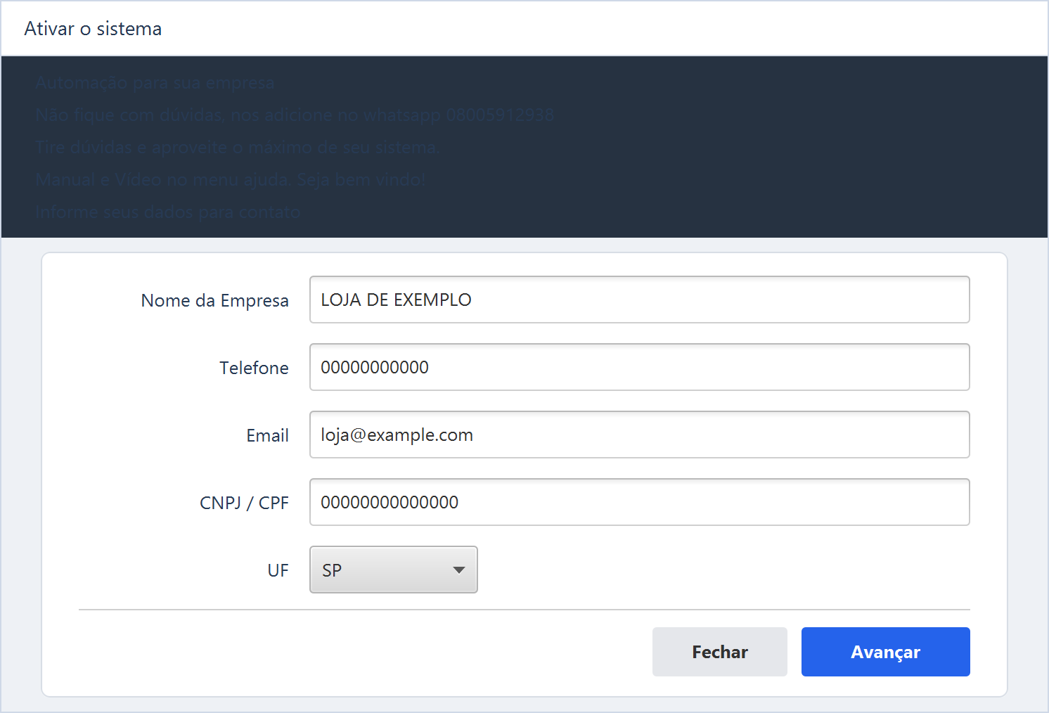 Ativar o sistema — LOJA DE EXEMPLO, telefone e documento artificiais, e-mail loja@example.com e UF SP.